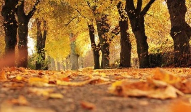 Da li jedan musliman može da bude pogođen duševnim (psihičkim) bolestima