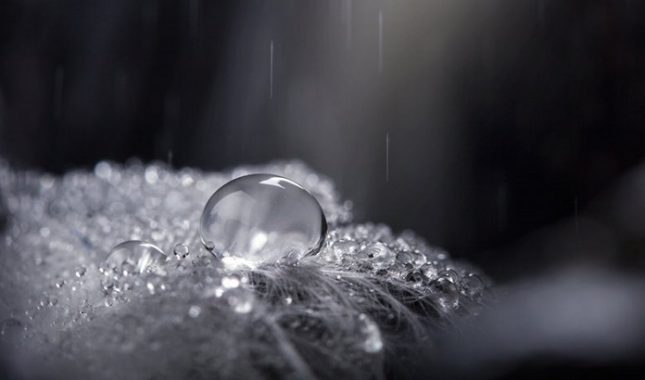 Oralni seks u islamu