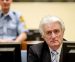 Radovan Karadžić kriv za genocid u Srebrenici, kazna 40 godina zatvora