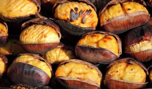 Čuda Allahovog stvaranja: kesten – blagodat jeseni