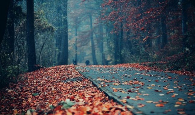 Anksioznost i depresija kao posljedica sihra