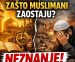 Zašto su muslimani zaostali?! – Istina koju ne volimo čuti! (VIDEO)