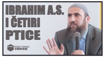 Nedžad ef. Hasanović – Ibrahim a.s. i četiri ptice / VIDEO