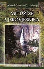 Mu'džize vjerovjesnika