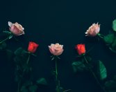 Stvari koje uništavaju bračni život