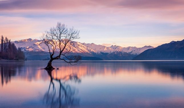 Imam homoseksualne sklonosti