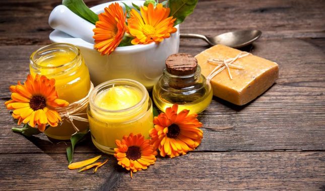 Magični neven: Biljka koja radi čuda za crijeva, kožu, krv i pritisak