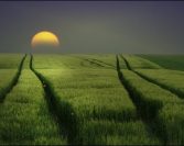 Šteta je da vidimo samo pogreške pa da budemo poput muha koje padaju na prljavštinu