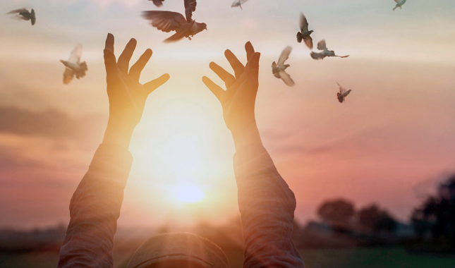 Kako postupiti kada je teško oprostiti uvredu?