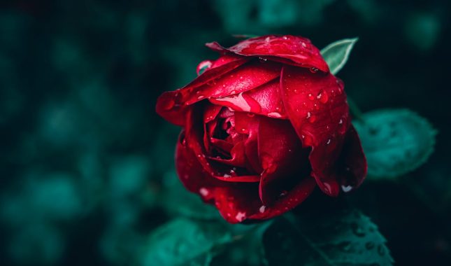 Budi jednostavan i jedinstven, takva ti je i vjera