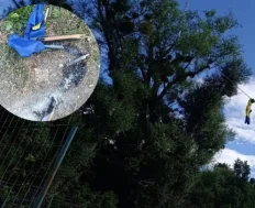 Dragan Bursać: Zašto ljudi koji žive od BiH države toliko mrze BiH???
