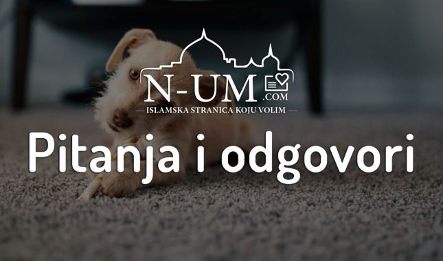 Namaz u kući u kojoj boravi pas ?