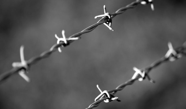 Uzgajaš li zavist i ljubomoru