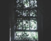 Nouman Ali Khan: Da bi nešto uništili, potrebno je samo ne raditi ništa