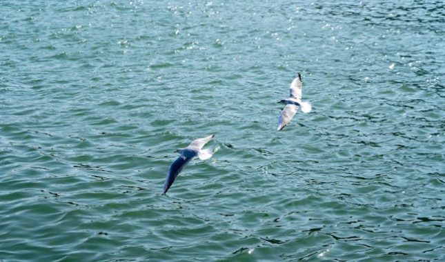 Neka te ne slome beznačajne stvari