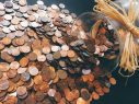 Sve je počelo sa staricom / Sadaka – plodovi i njena vrijednost