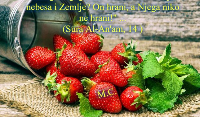 Onaj Ko je zadužen za moju opskrbu je vječno Živ i ne umire