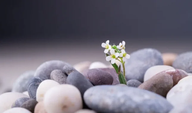 Četiri su osobe od kojih ne bi trebao ništa tražiti