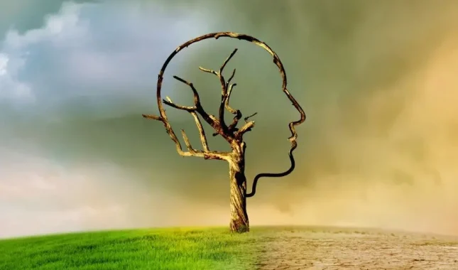 Uredimo sebe i sve će uredu biti