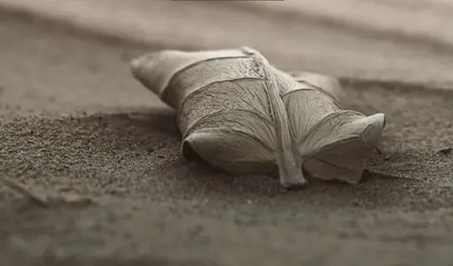 Većina društvenih bolesti je uzrokovana okruženjem koje je zaraženo zavidnošću i mržnjom