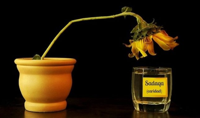 Investicija u imetak: 17 vrsta sadake koje svaki musliman mora znati
