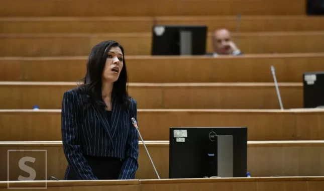 Dragan Bursać: Sanja Vulić i 22 hiljade glasova za mrziteljicu muslimana!