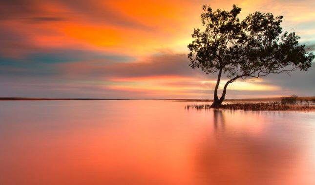 Mezijj-predejakulacijska tekućina (pravni propisi)