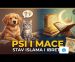 Psi i mace kao kućni ljubimci – stav islama i par IBRETA  (VIDEO)