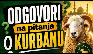 ODGOVORI na konkretna pitanja O KURBANU (VIDEO)