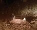 Minuta uz Kur`an (31) Kabur je samo privremena stanica
