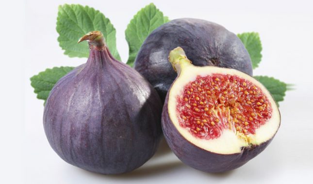 Smokva – eliksir mladosti spomenut u Kur’anu