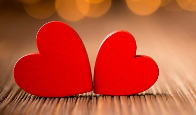 Kako funkcioniše zdrava porodica?