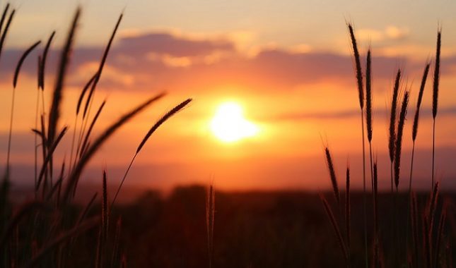 Da li da stupim u brak sa ovom djevojkom?