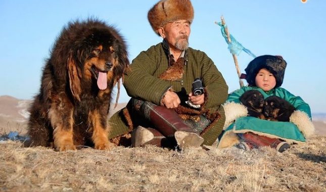 Kako je pas zadavio kršćanskog misionara koji je vrijeđao Muhammeda, sallallahu alejhi ve sellem