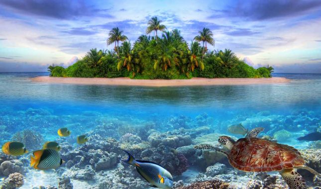 Priča o primanju islama stanovnika Maldiva je čudnija od fantazije