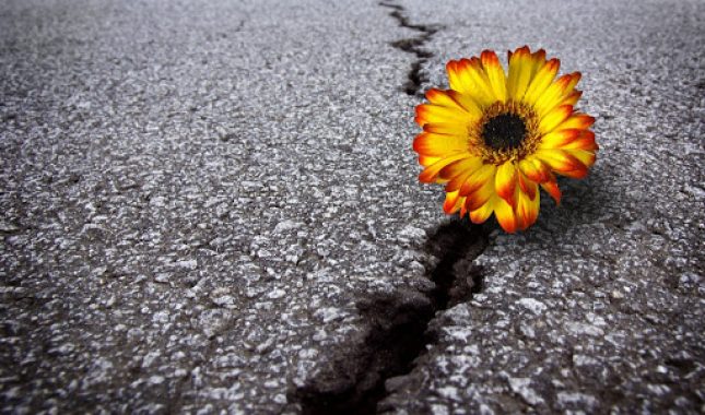 Zašto se loše stvari dešavaju dobrim