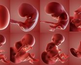 Razumski dokazi o postojanju Allaha, dž.š.