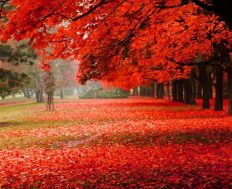 Najveća dunjalučka kazna – jesmo li je iskusili?