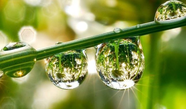 Allahovi znakovi su svuda oko nas