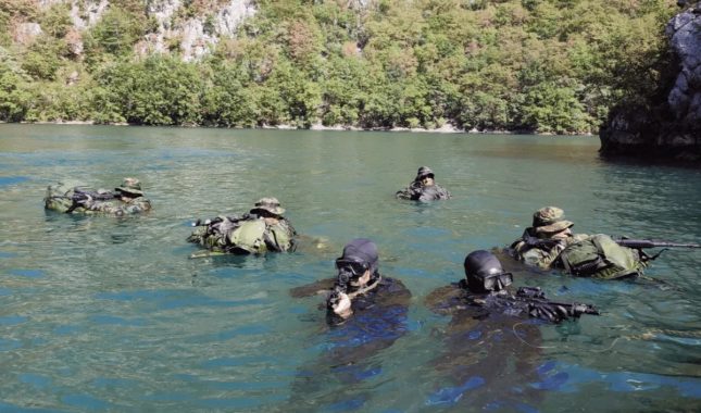 Bursać: Marš sa Drine!