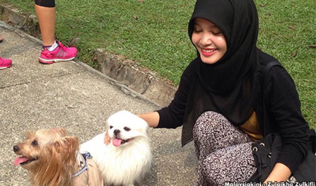 Koliko pudlice – psi mogu uništiti dobrih djela svom vlasniku?