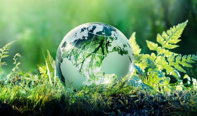 Poslanik, sallallahu alejhi ve sellem, kao ekolog