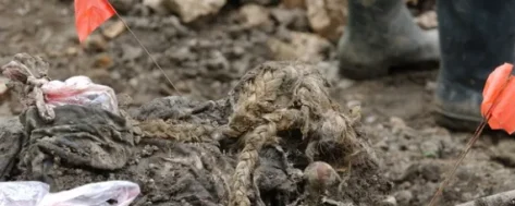 Plava pletenica traži djevojčicu Naidu