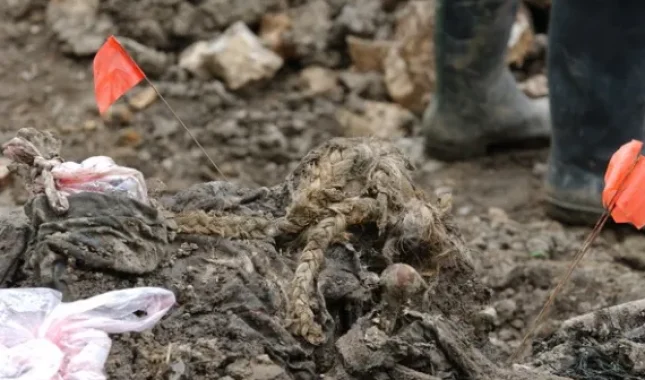 Plava pletenica traži djevojčicu Naidu